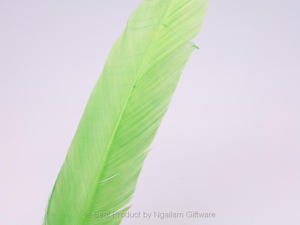 Feather color - Green.JPG